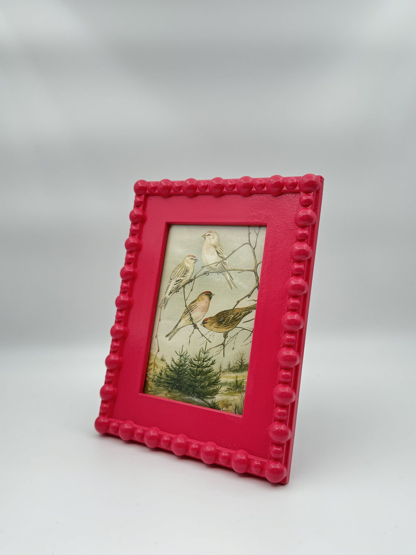 Creative Co-Op Painted Wood Hobnail Picture Frames 5"x7" – Pink or Green Variants
