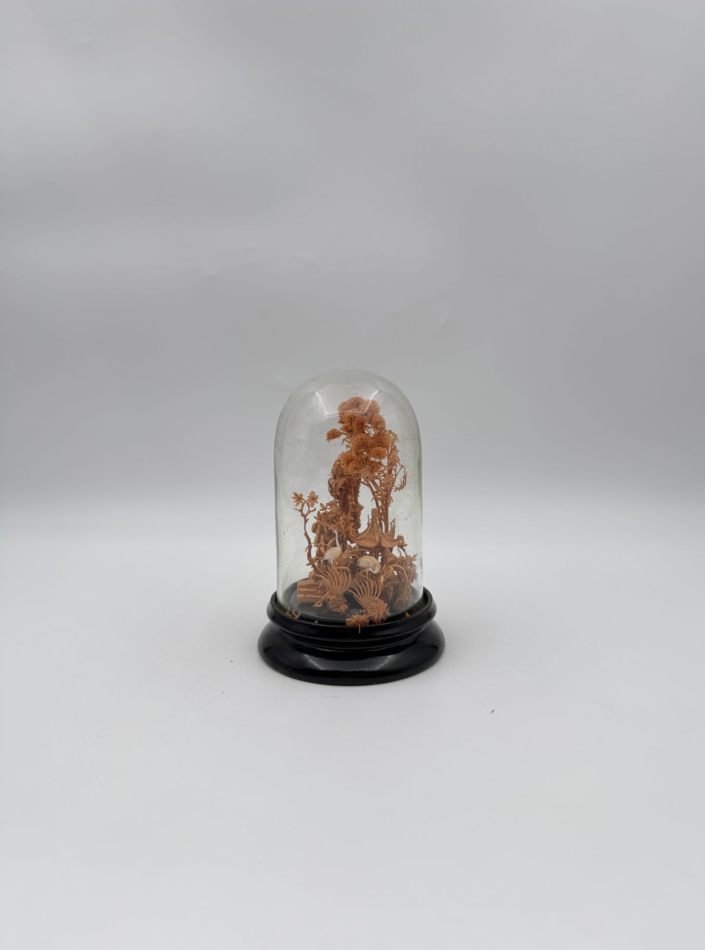 Chinese Cork Carving in Glass Dome