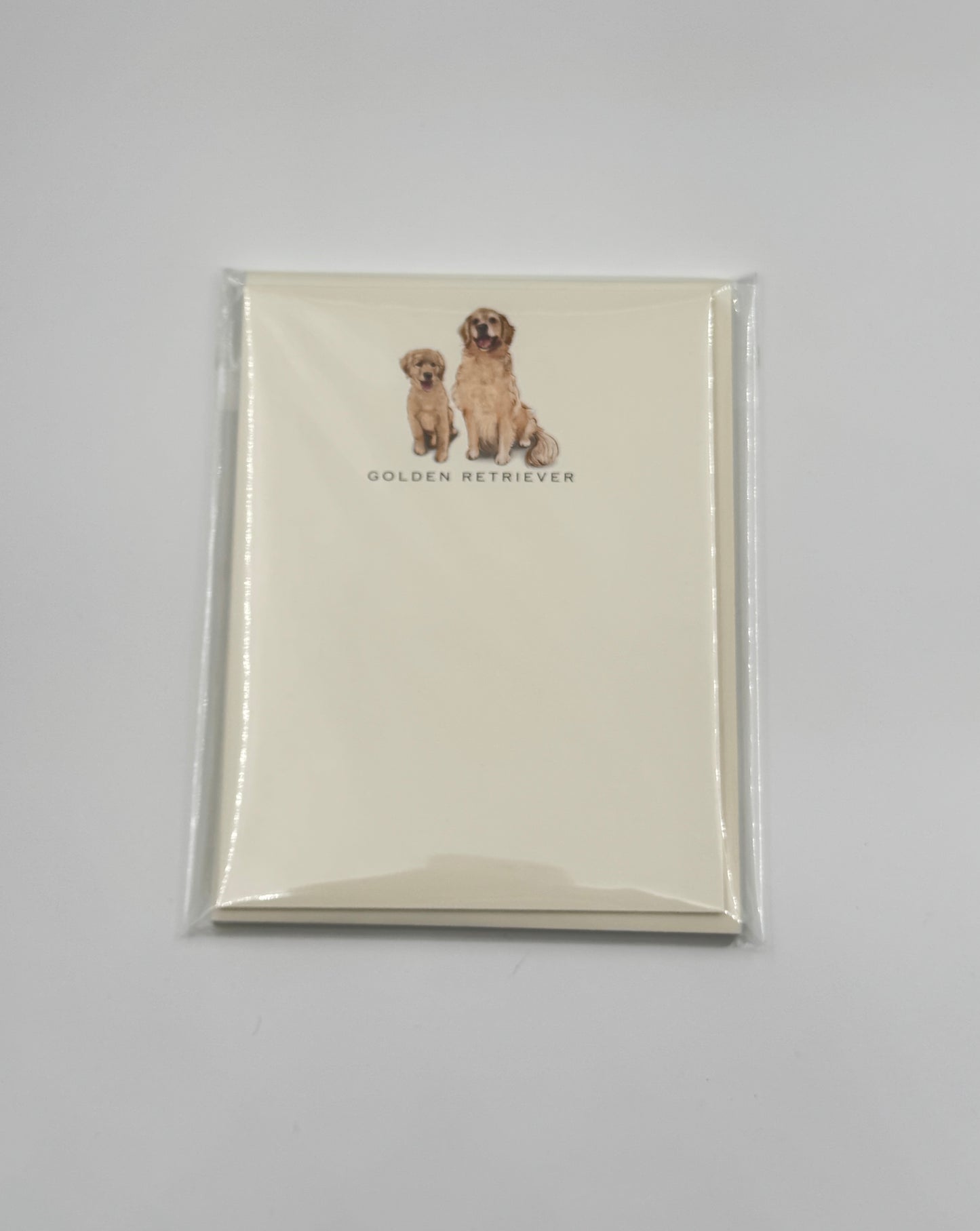 Fable & Sage Golden Retriever Flat Note Cards – Set of 6 with Envelopes