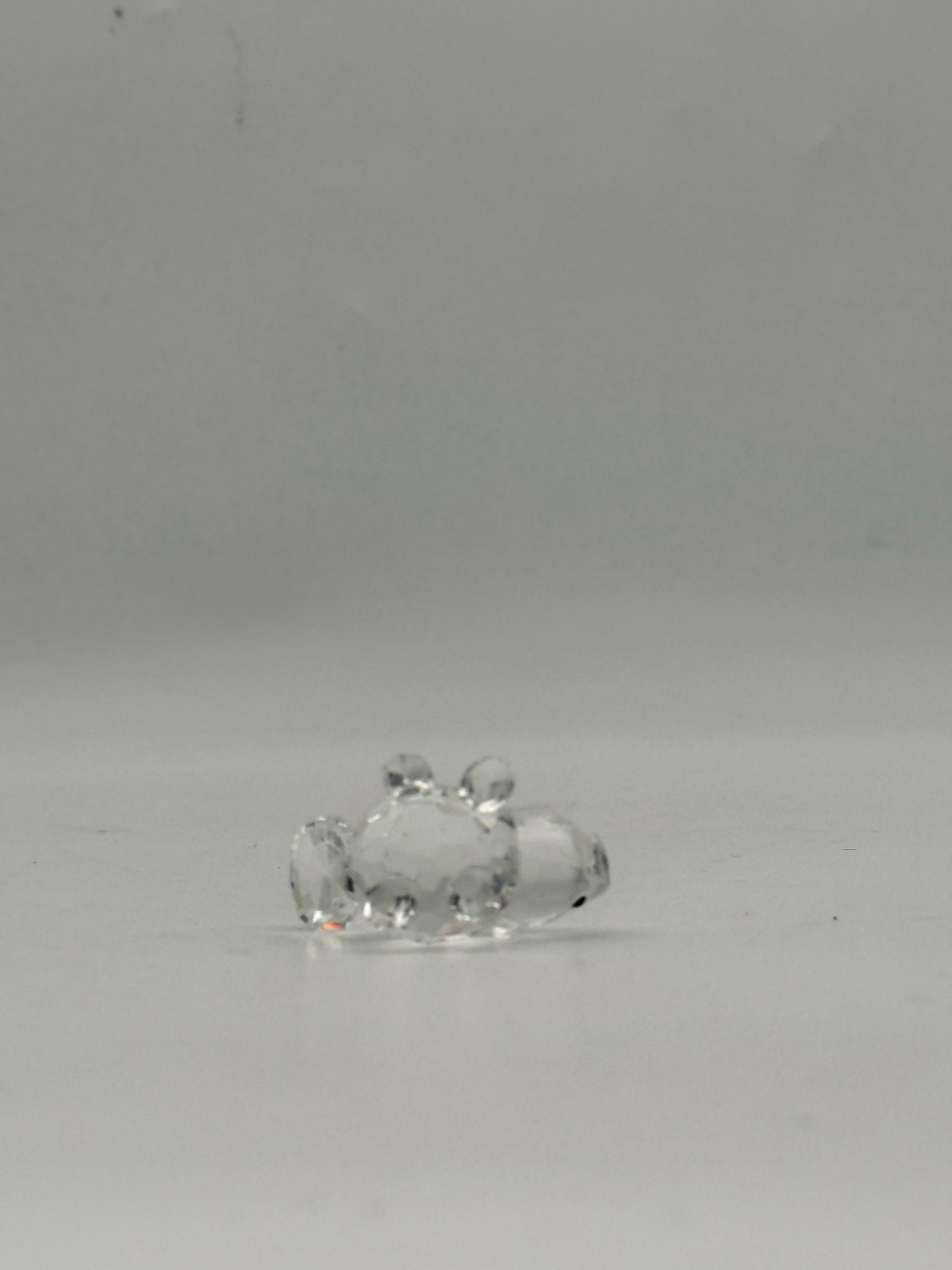 Swarovski Crystal Beaver Figurine With Box
