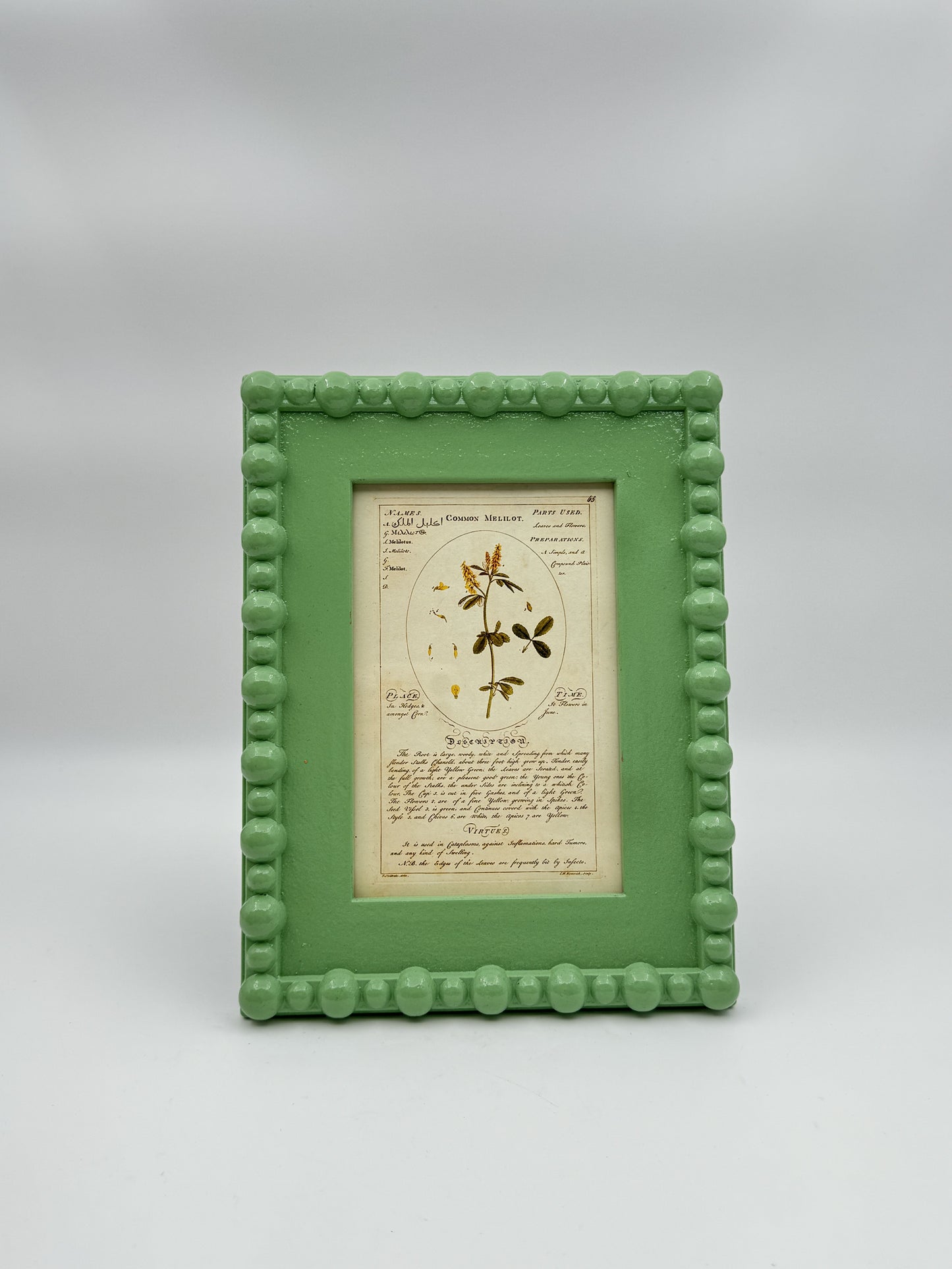 Creative Co-Op Painted Wood Hobnail Picture Frames 5"x7" – Pink or Green Variants