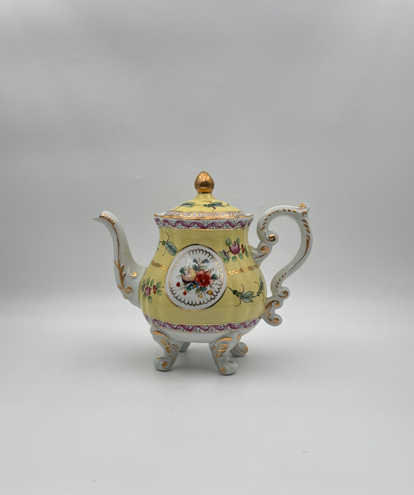 Dresden Porcelain Tea Service – Hand-Painted Floral & Gilt – 8 Pieces with Tray – Germany