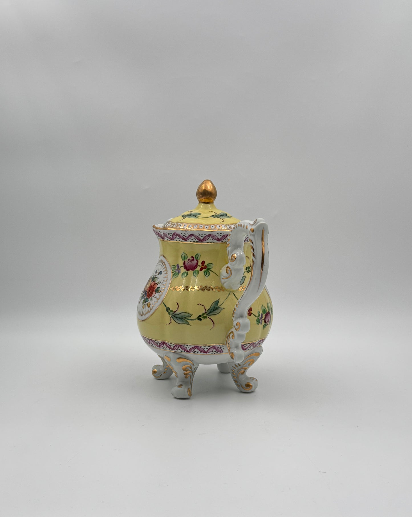 Dresden Porcelain Tea Service – Hand-Painted Floral & Gilt – 8 Pieces with Tray – Germany