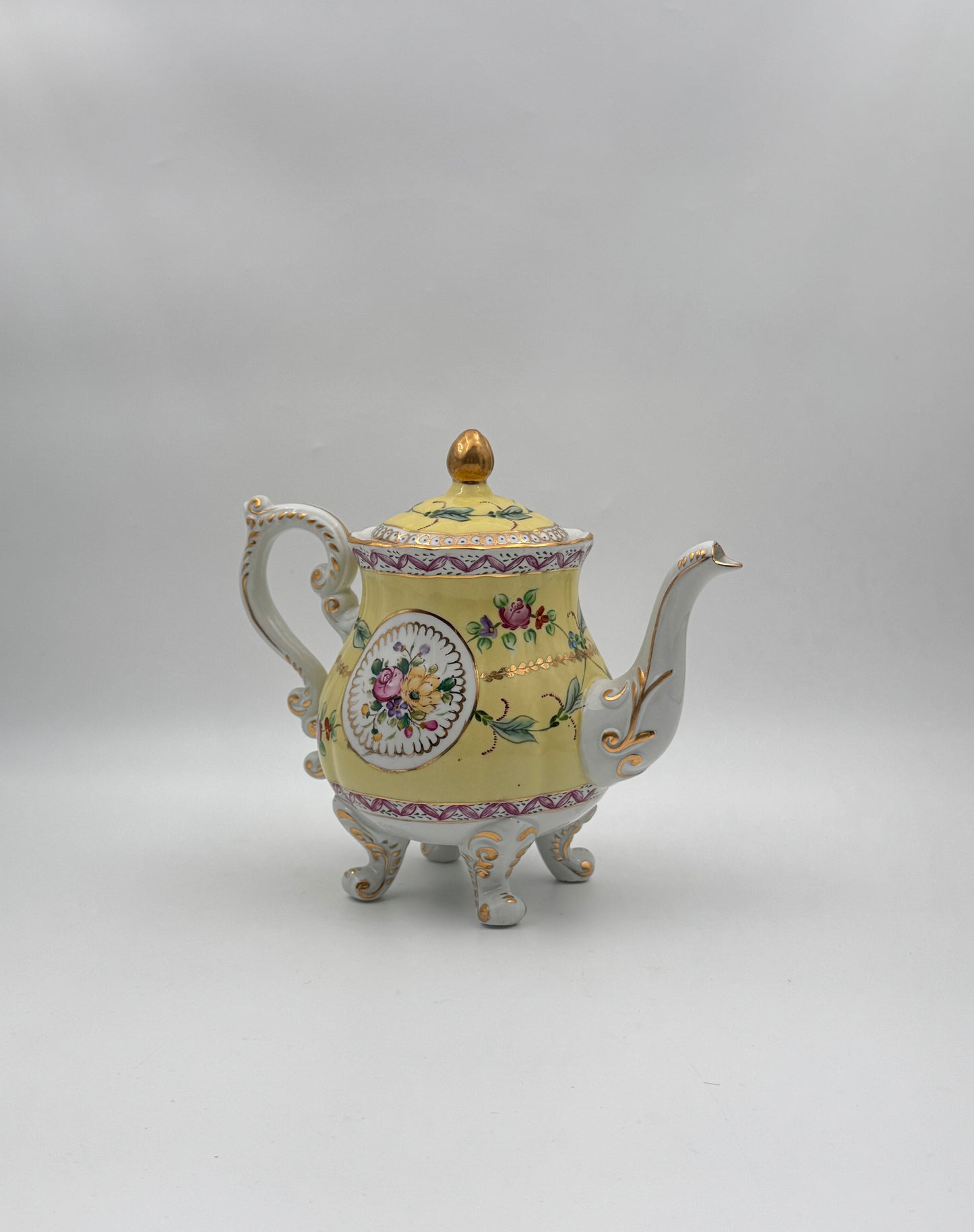 Dresden Porcelain Tea Service – Hand-Painted Floral & Gilt – 8 Pieces with Tray – Germany