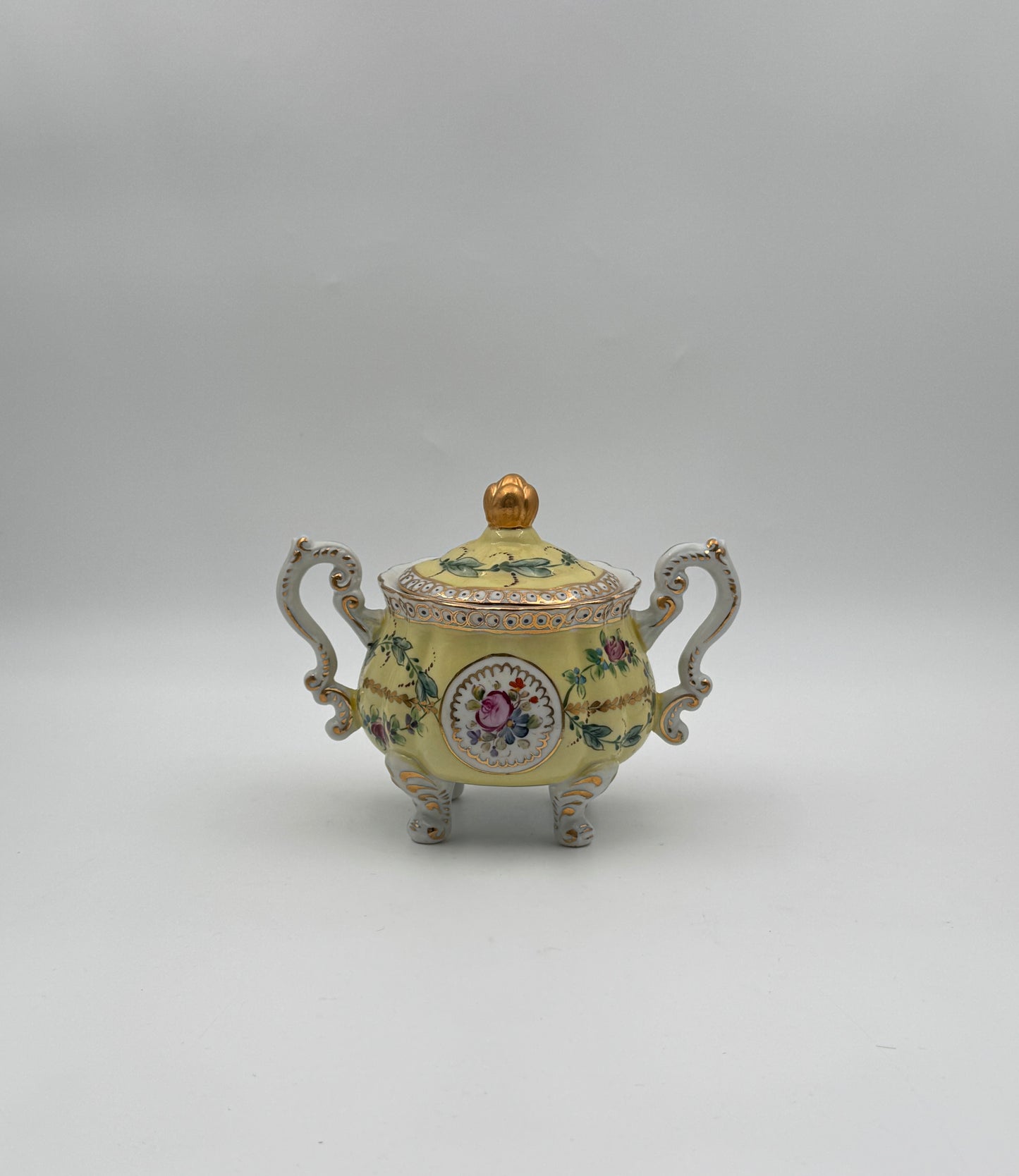 Dresden Porcelain Tea Service – Hand-Painted Floral & Gilt – 8 Pieces with Tray – Germany
