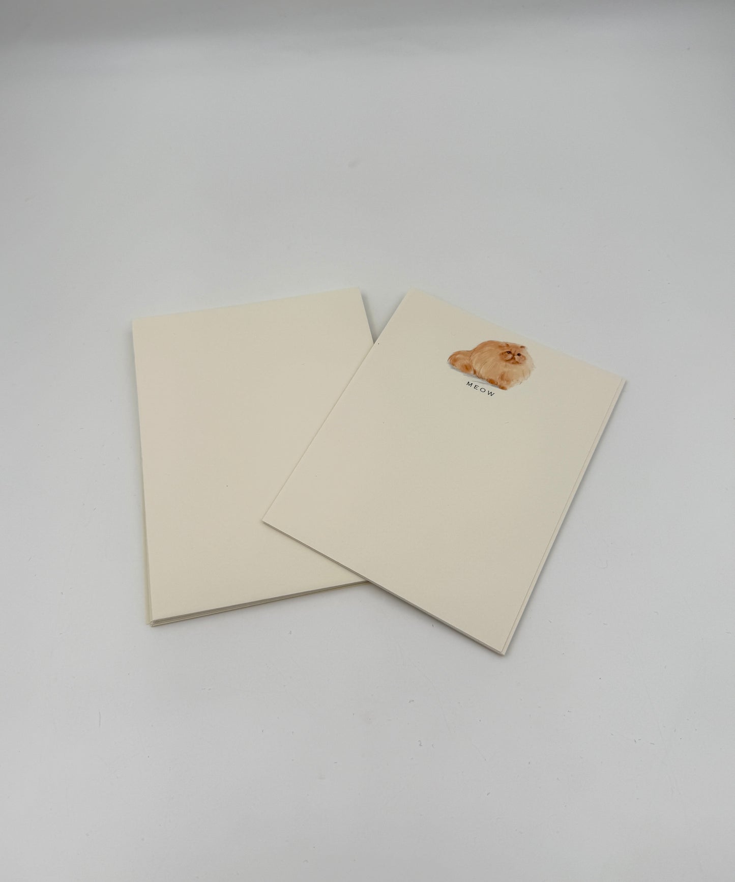 Cat Notecards – “MEOW” Fluffy Orange Cat – Set of 6 by Fable & Sage