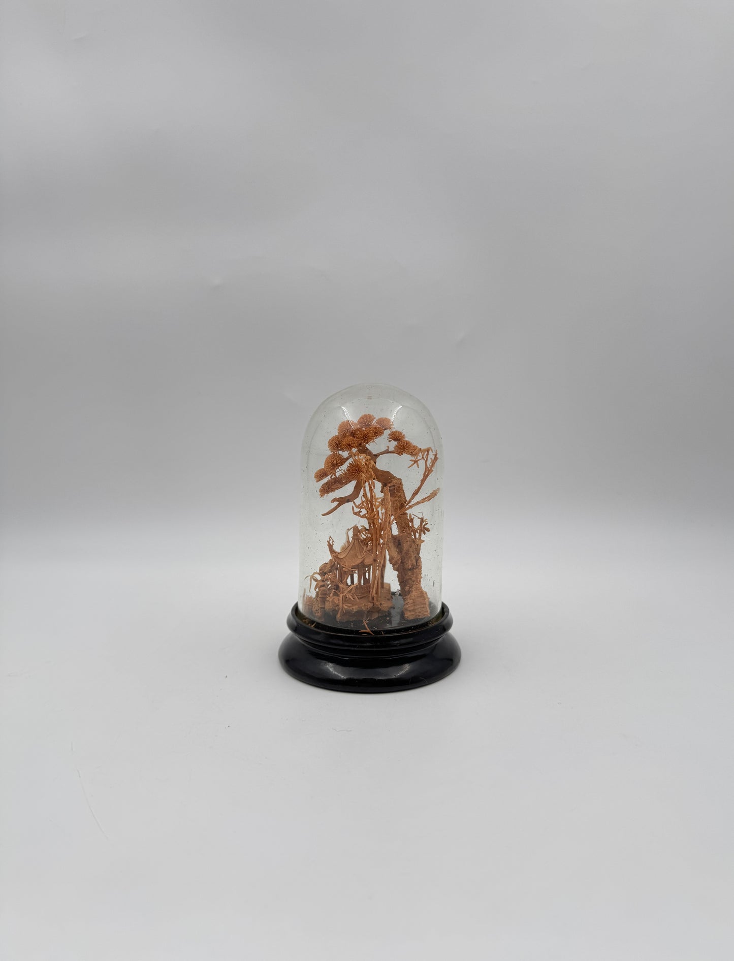 Chinese Cork Carving in Glass Dome