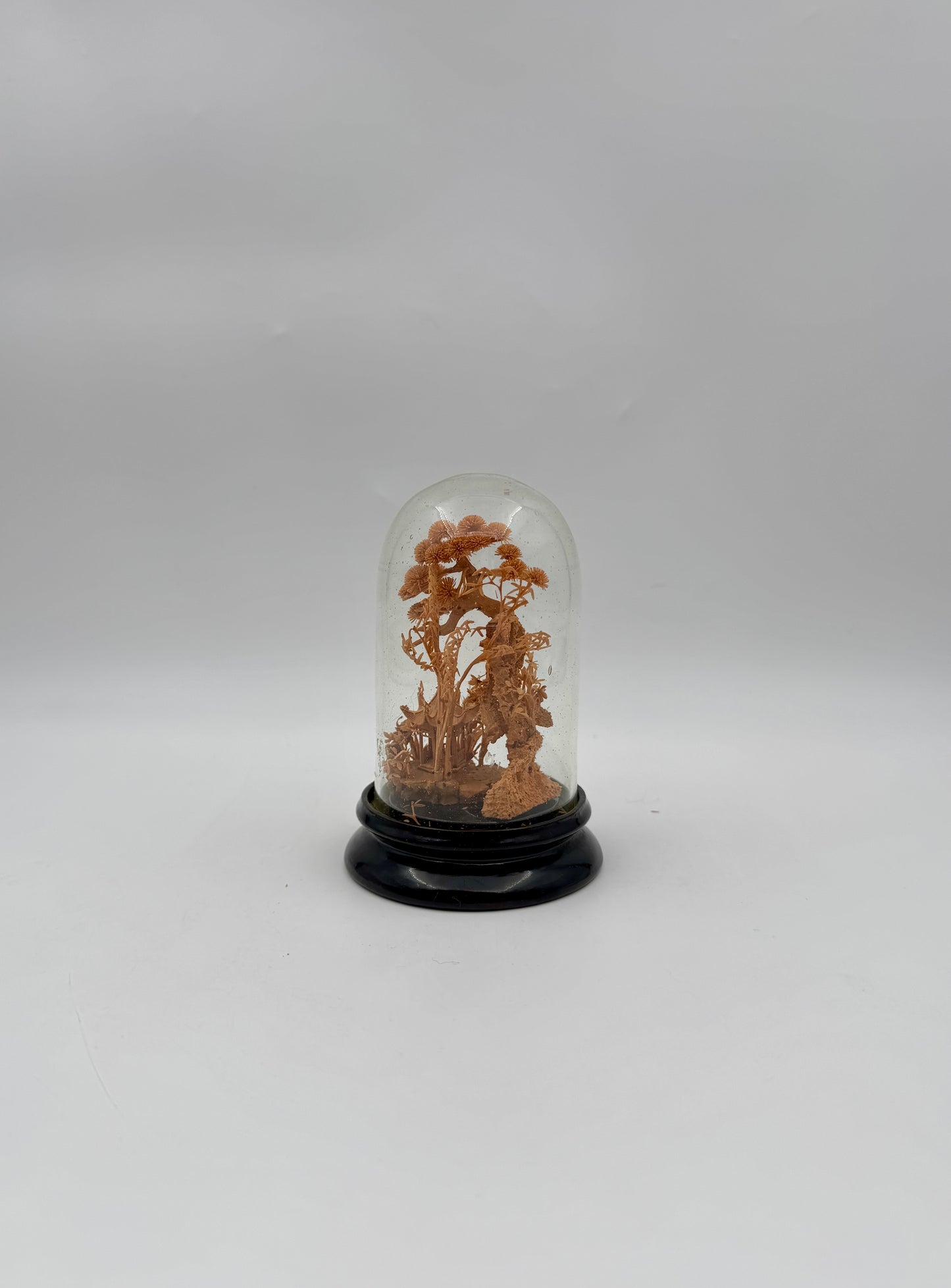 Chinese Cork Carving in Glass Dome