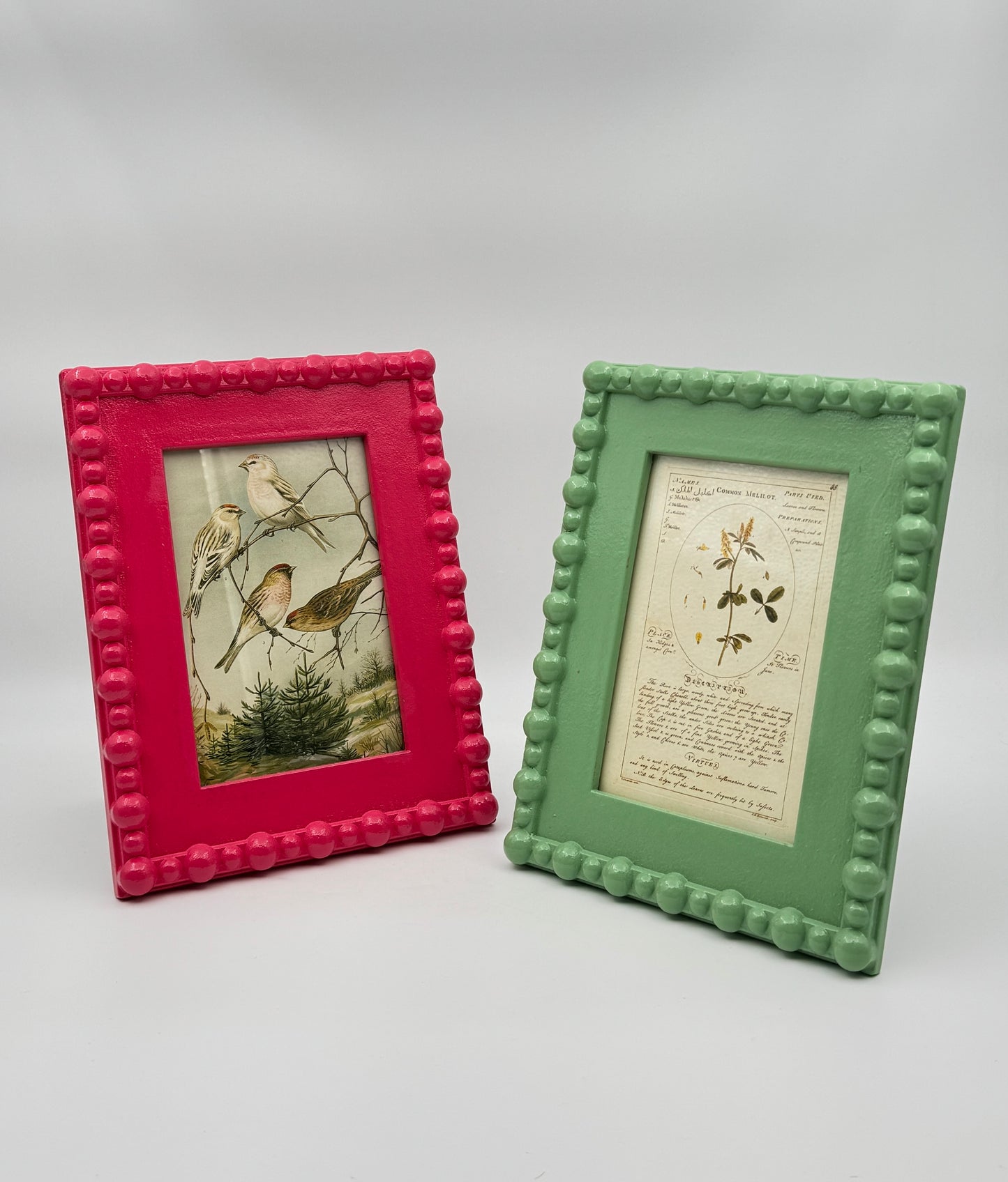 Creative Co-Op Painted Wood Hobnail Picture Frames 5"x7" – Pink or Green Variants