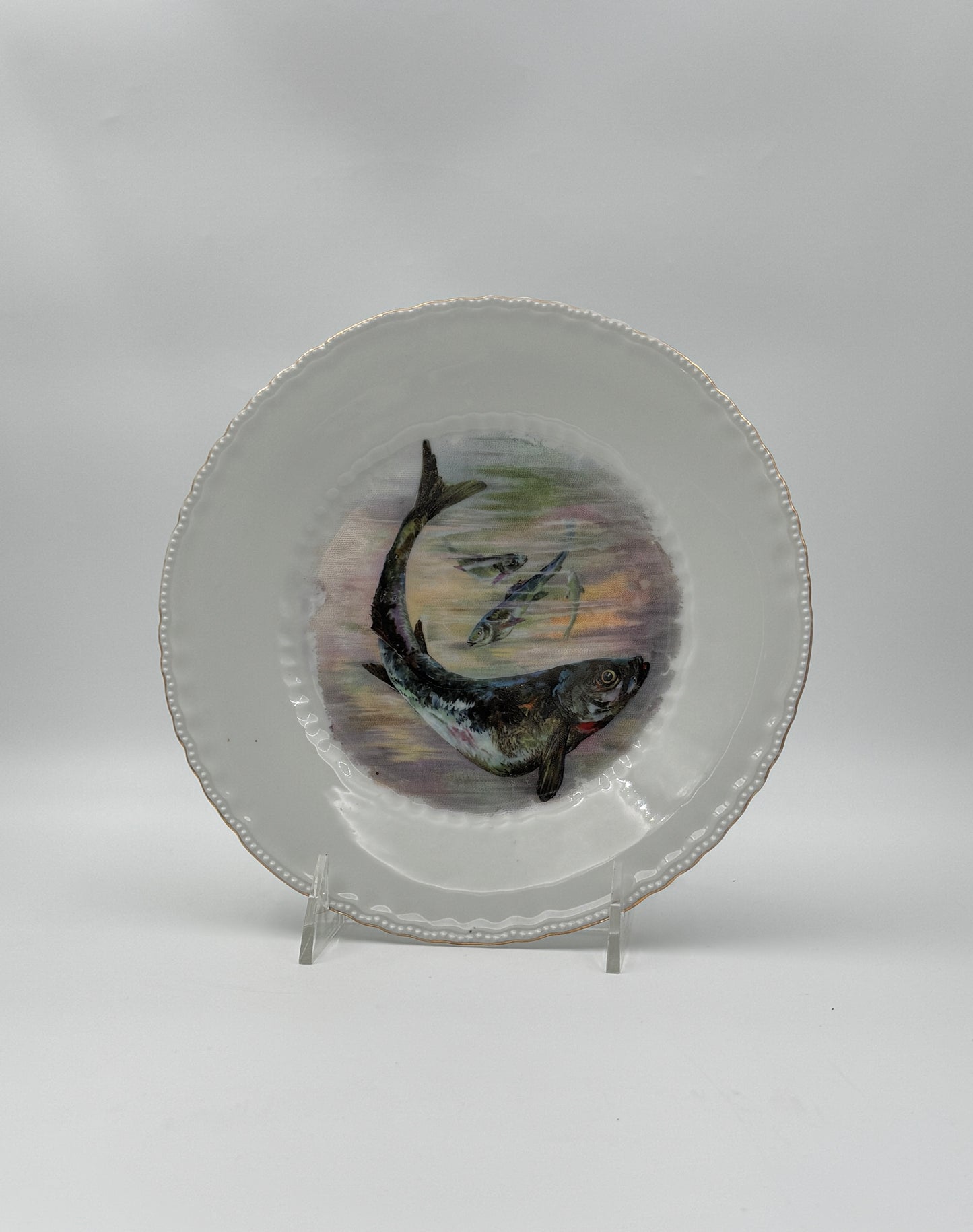 Set of 6 Victoria Austria Fish Plates – Hand-Painted Porcelain