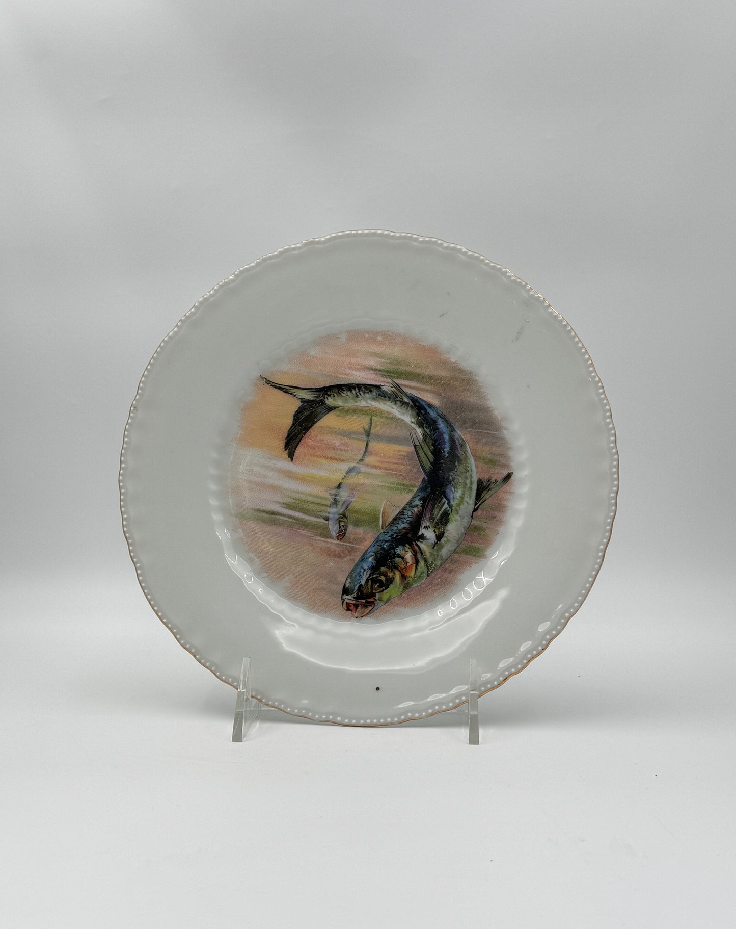 Set of 6 Victoria Austria Fish Plates – Hand-Painted Porcelain