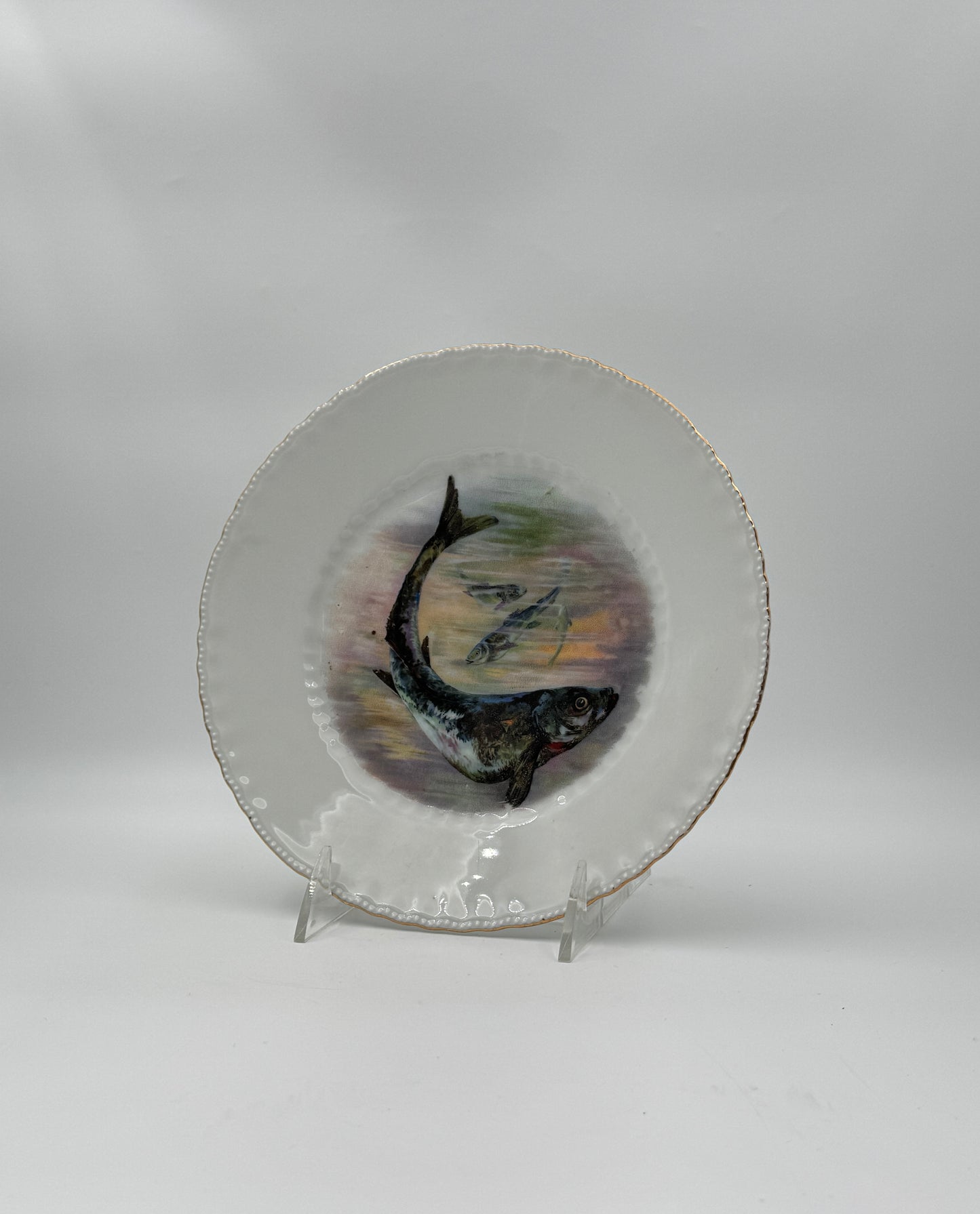 Set of 6 Victoria Austria Fish Plates – Hand-Painted Porcelain