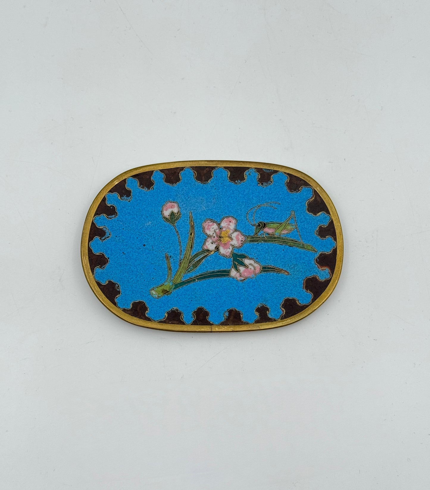 Vintage Chinese Cloisonné Oval Tray – Grasshopper & Pink Blossoms on Sky Blue