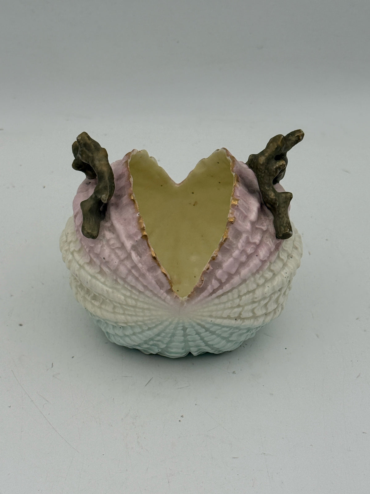 Purple Open Shell Bowl