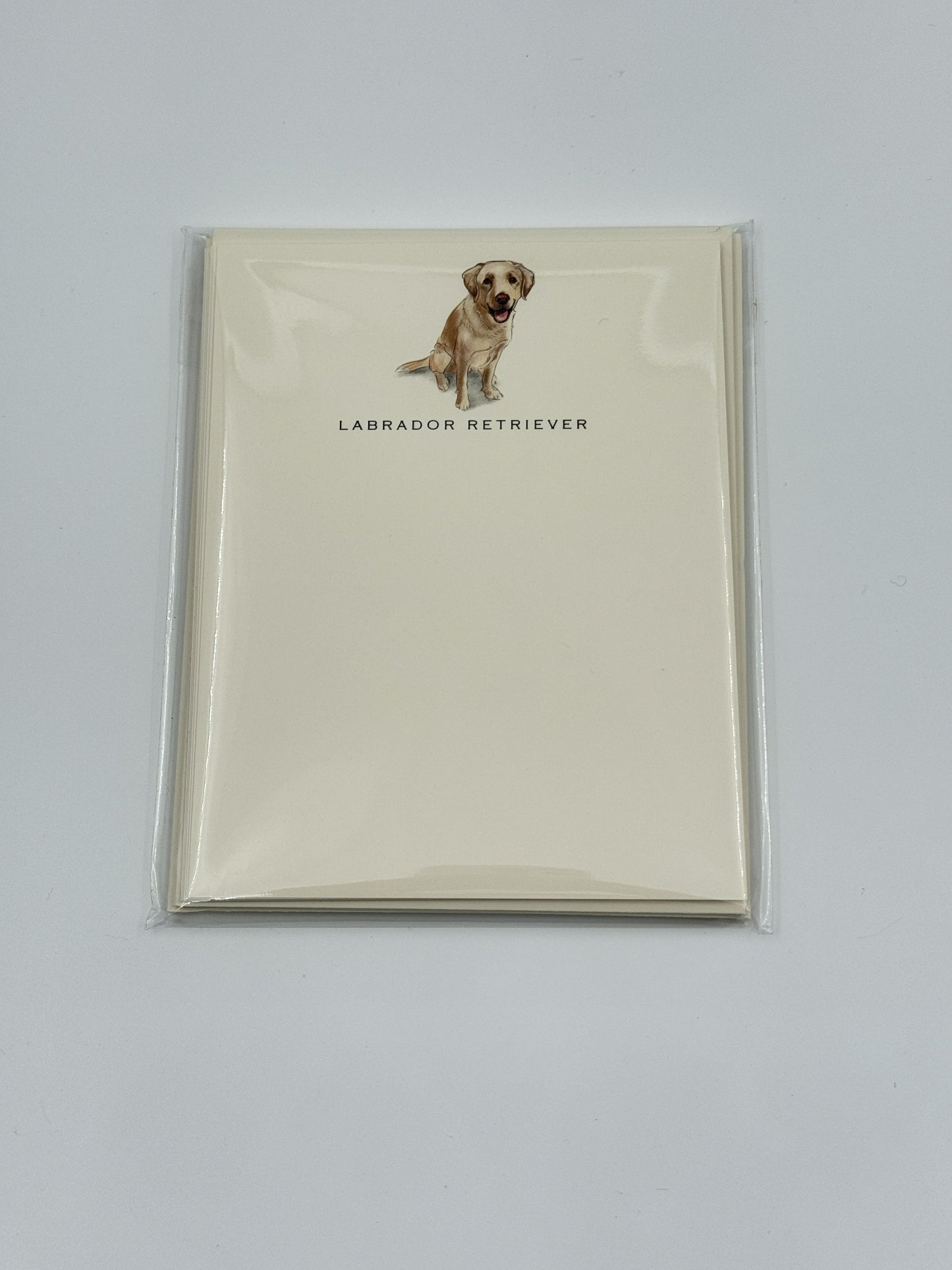 Fable & Sage Labrador Retriever Flat Note Cards – Set of 6 with Envelopes