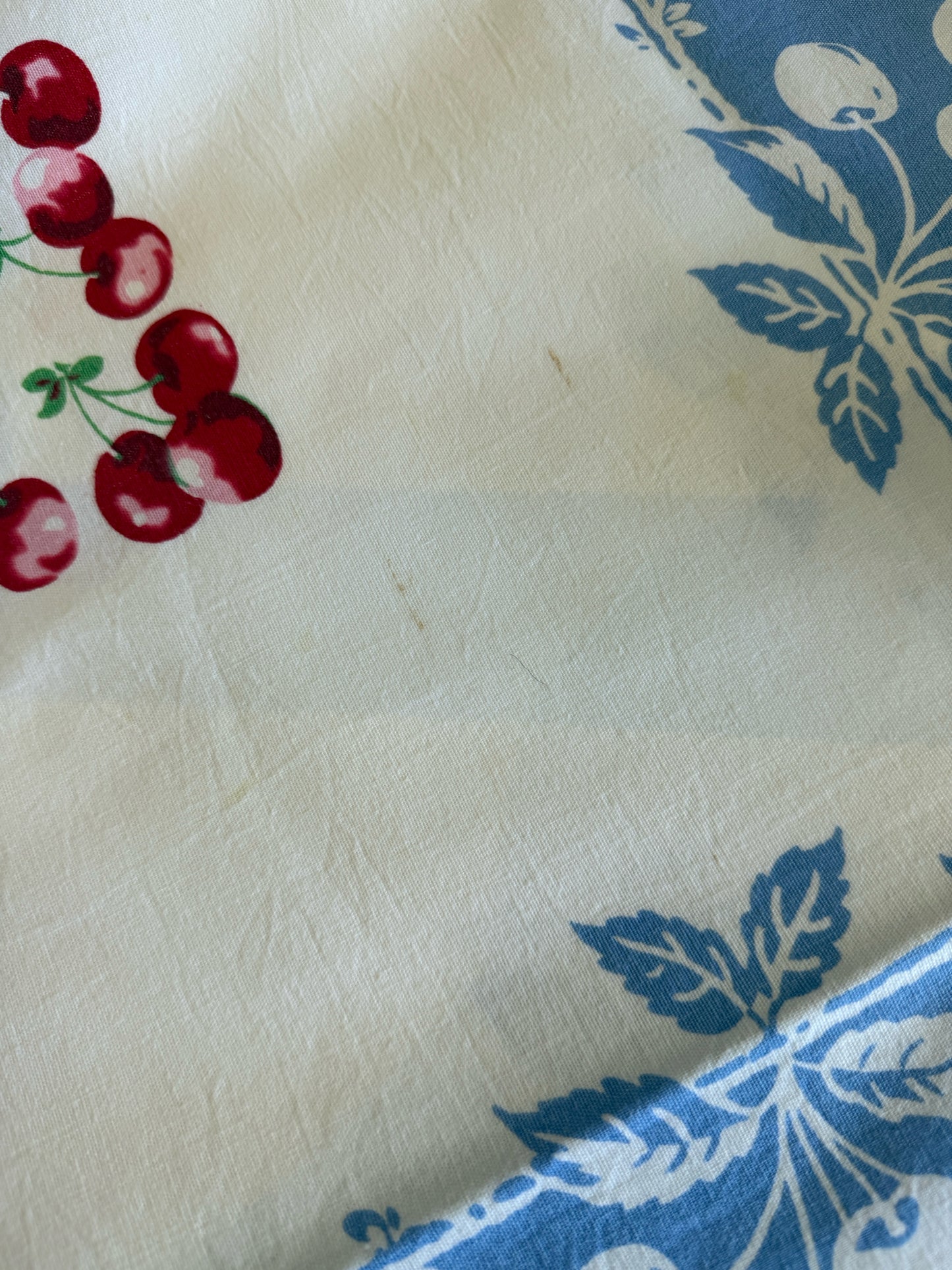 Vintage Mid Century Blue And Red Cherry Tablecloth