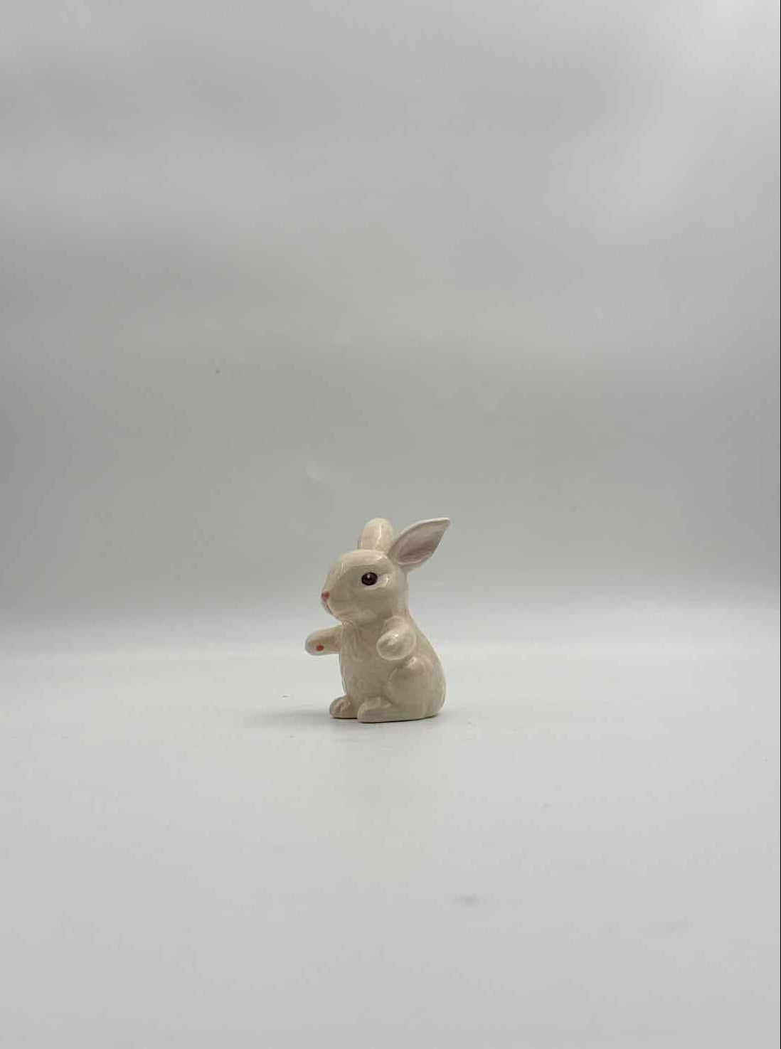 Easter Rabbit Carrot Car Salt Pepper Shakers Set Spring Decor Accent