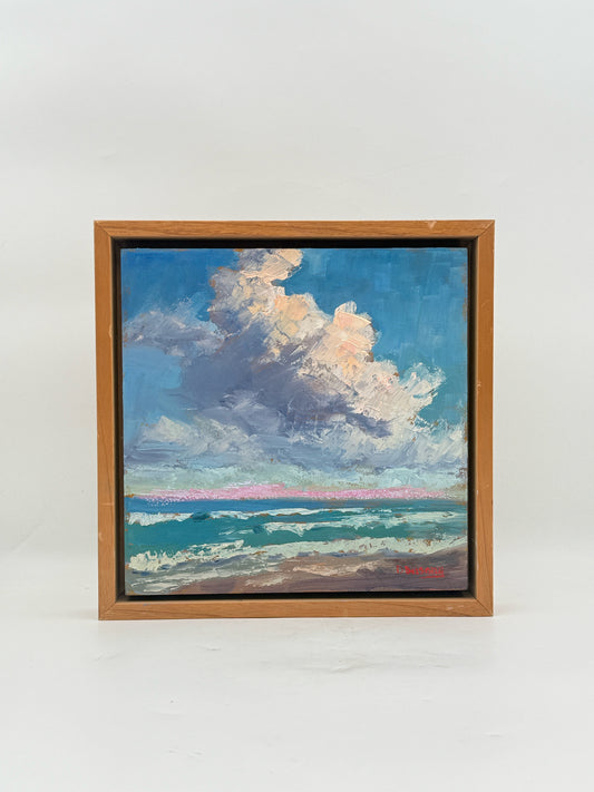 "Fluff" Oil On Board Oceanscape By D. Busony