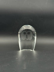 Hanne Dreutler Swedish Glass Owl Paperweight