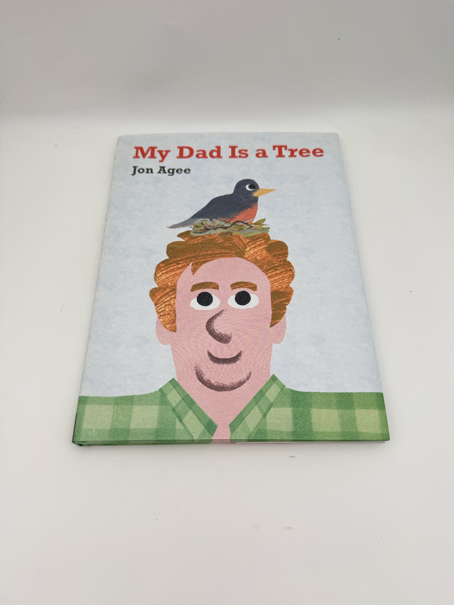 My Dad Is A Tree Picture Book By Jon Agee