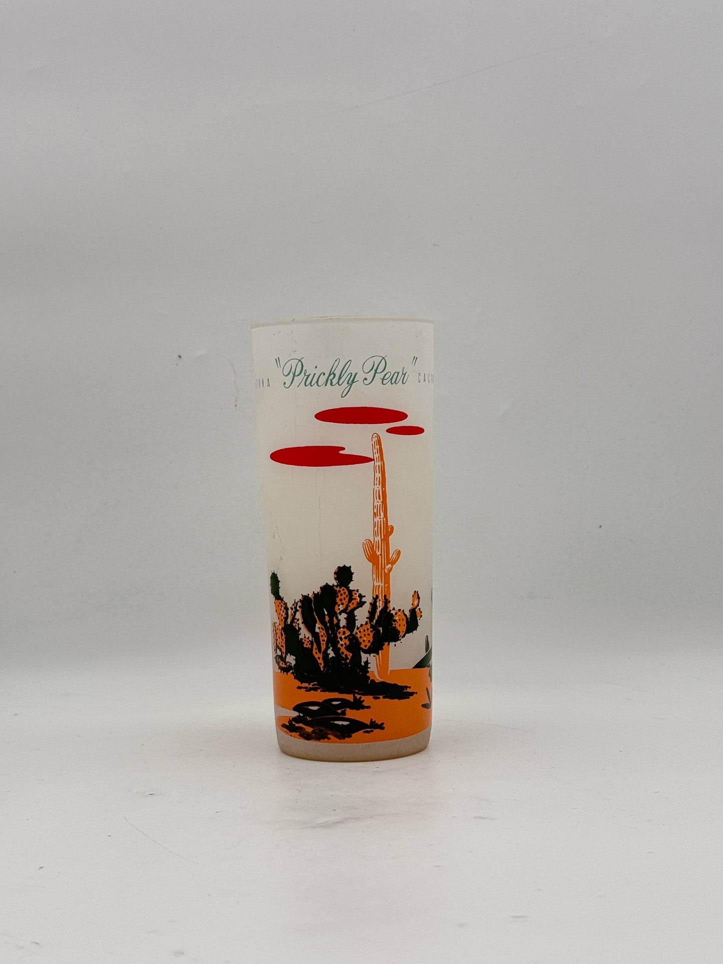 Vintage MCM Arizona Cactus Highball Glasses- Set Of 8