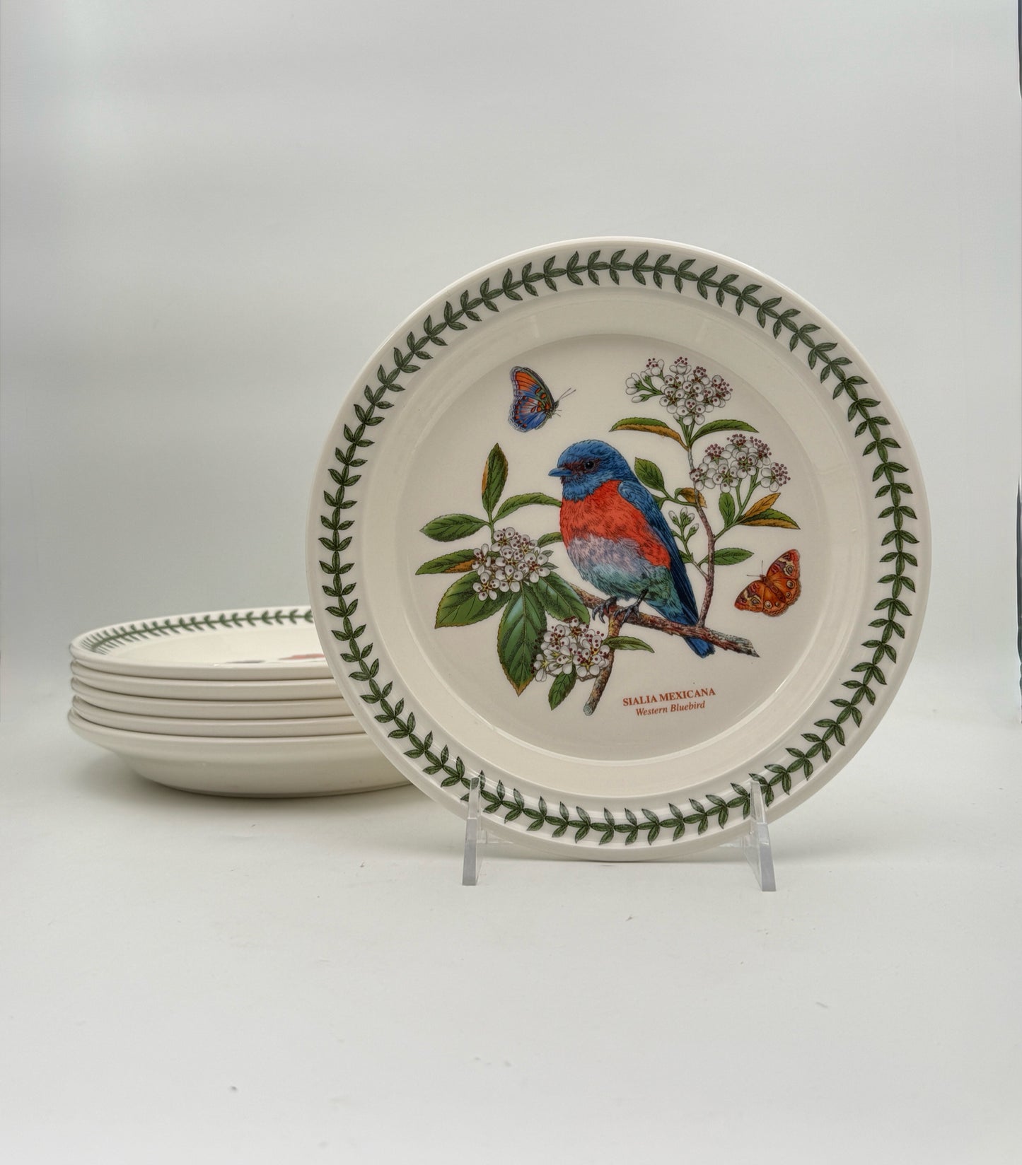 Portmeirion Botanic Garden Birds Dessert Plates- Set Of 6