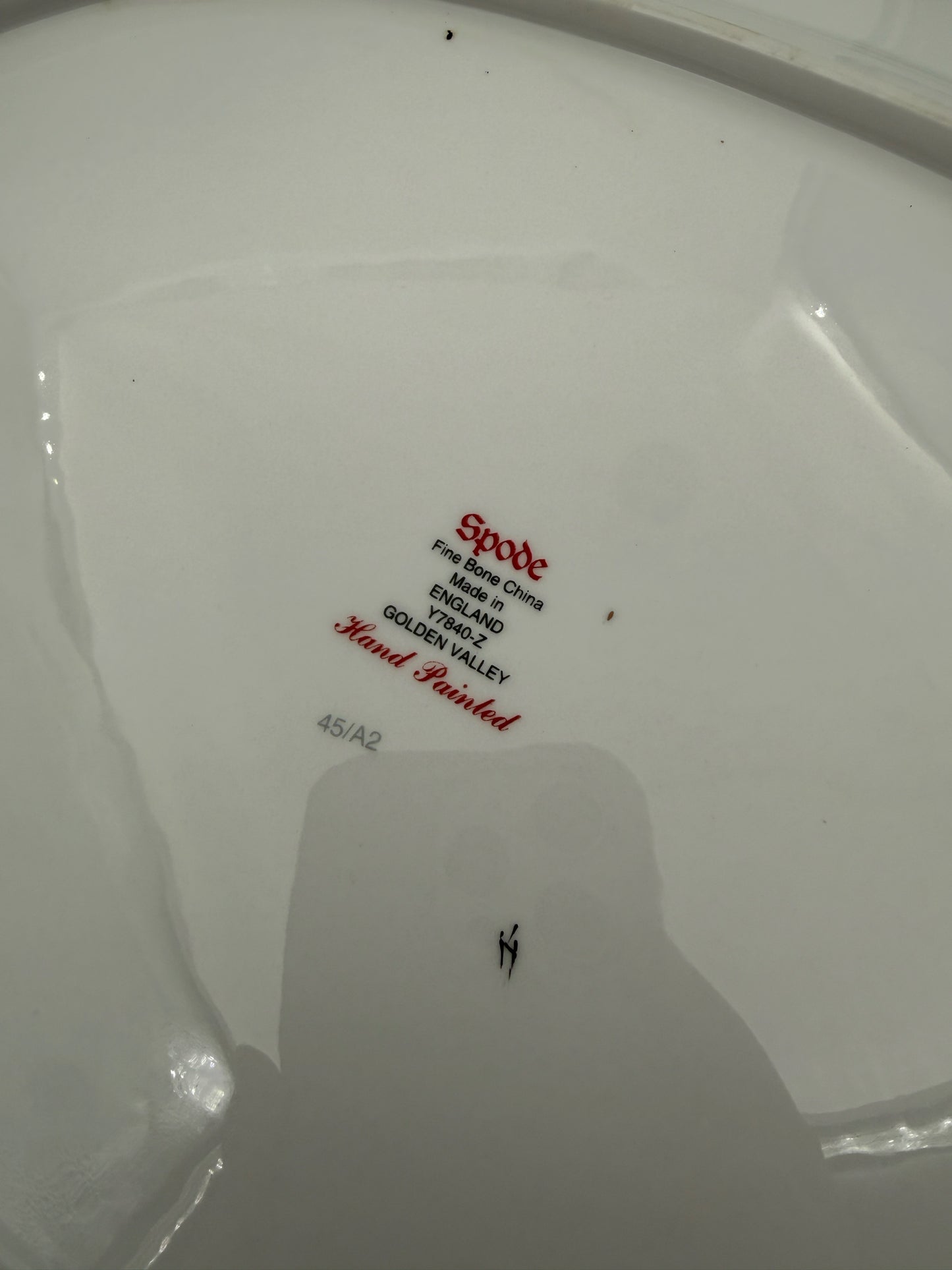 Spode Golden Valley Serving Platter