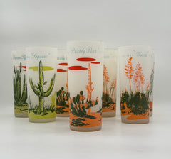 Vintage MCM Arizona Cactus Highball Glasses- Set Of 8