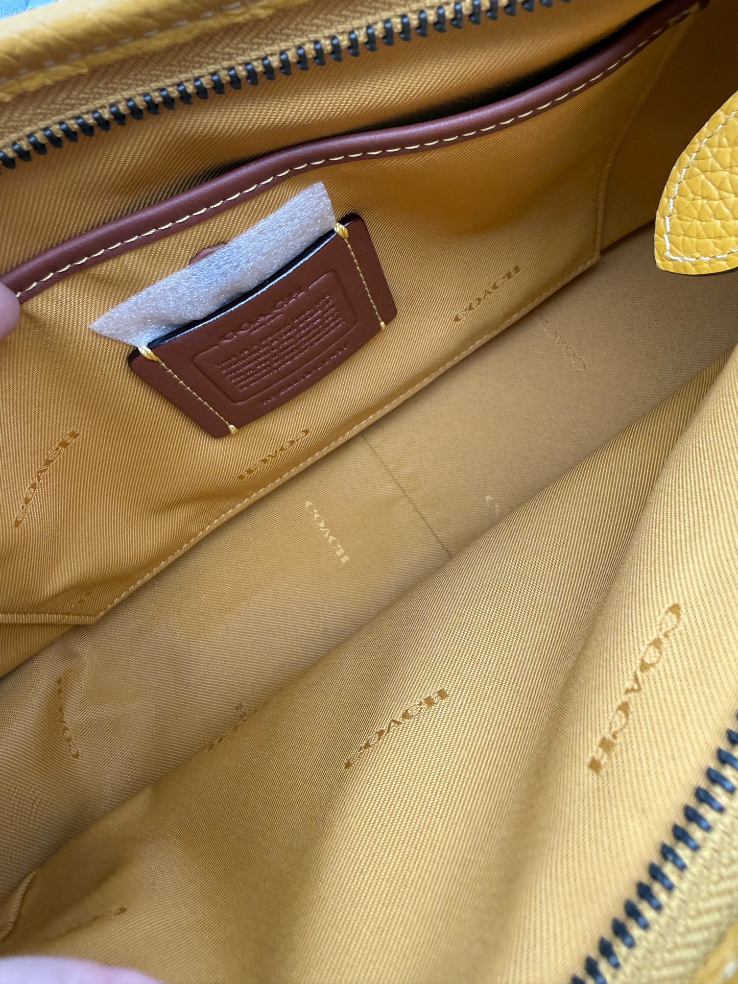 Coach Cary Crossbody Bag In Flax