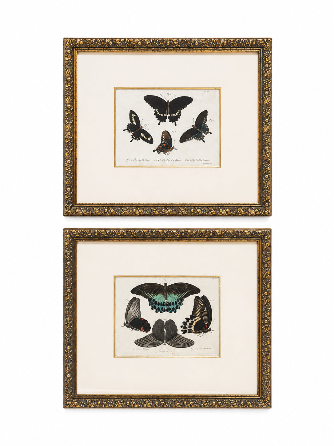 Antique Framed Hand-Colored Butterfly Engraving- Set Of 2