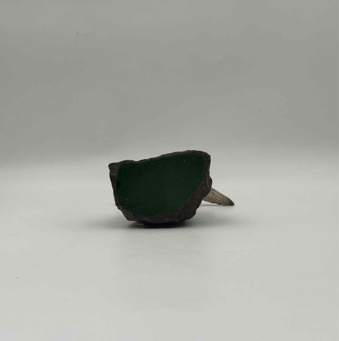 1900 Franz Bergman Cold Painted Vienna Bronze Seagull Figurine