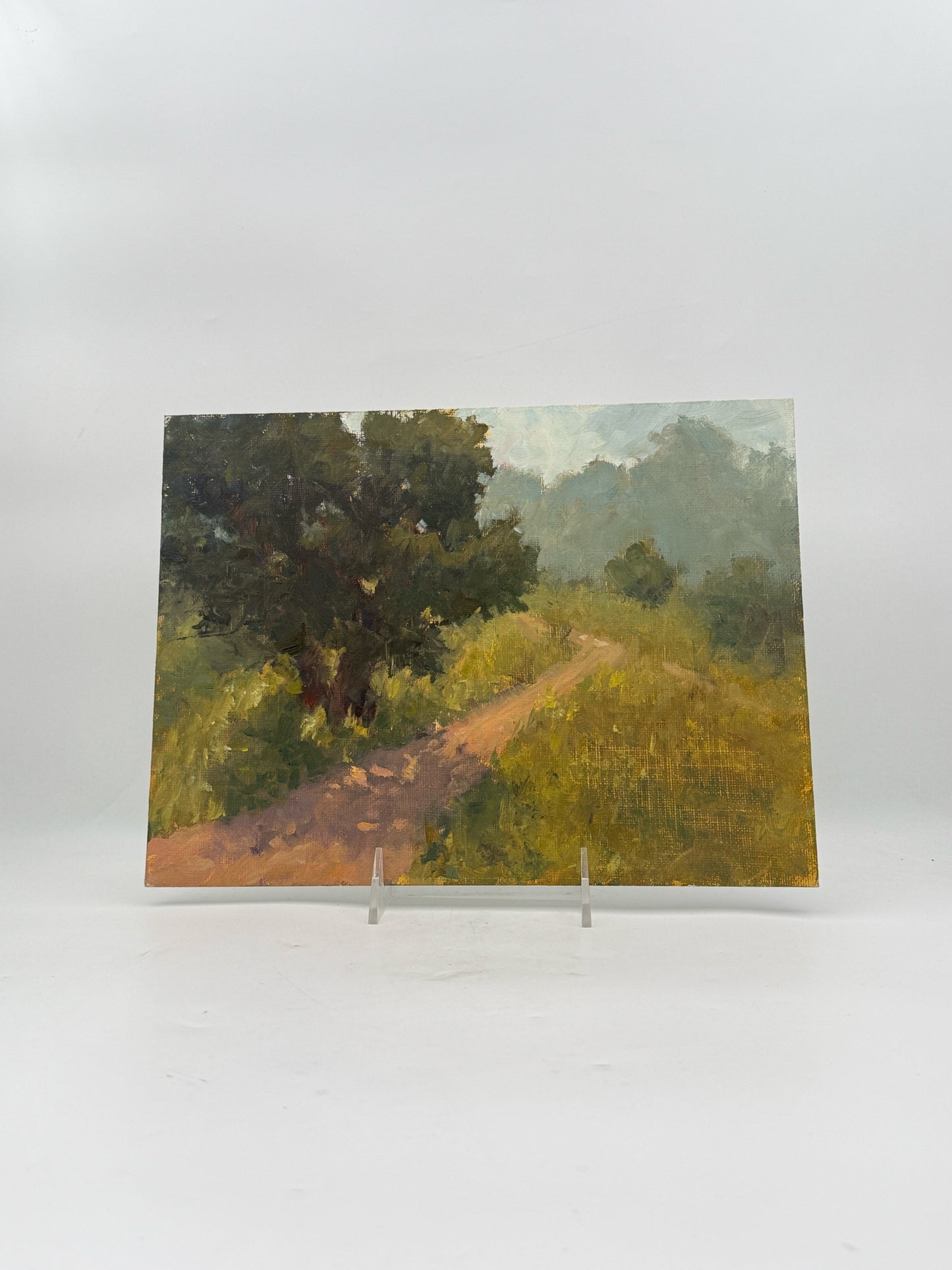 Southern California Hiking Horse Trail Landscape Oil On Board Painting