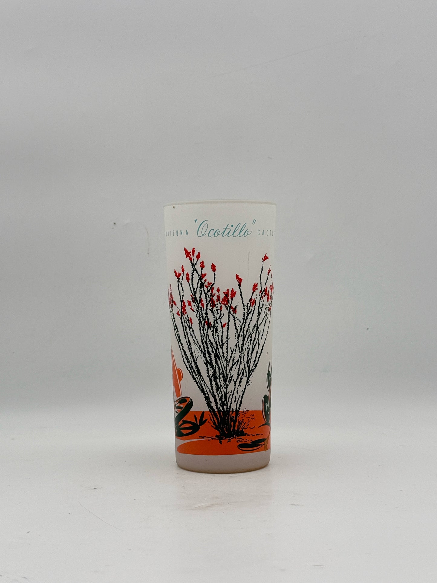 Vintage MCM Arizona Cactus Highball Glasses- Set Of 8