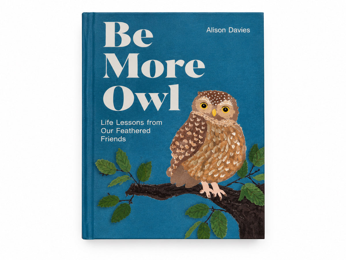 Be More Owl Life Lessons Book