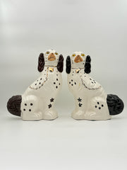 Pair Of Staffordshire Style Ceramic Spaniel Dogs