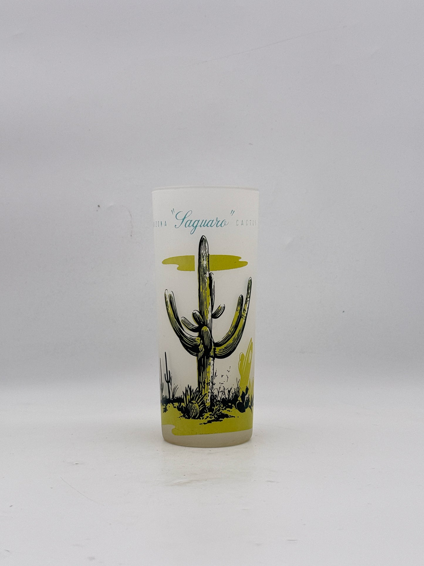 Vintage MCM Arizona Cactus Highball Glasses- Set Of 8