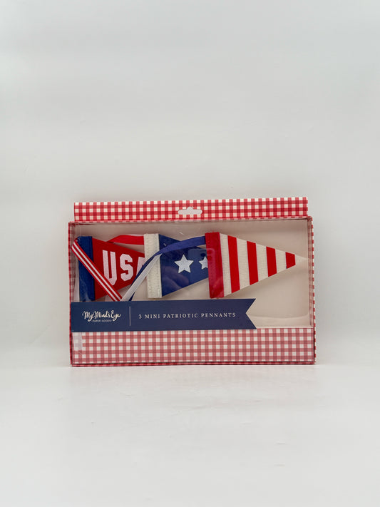 Americana USA And Flag Mini Pennants