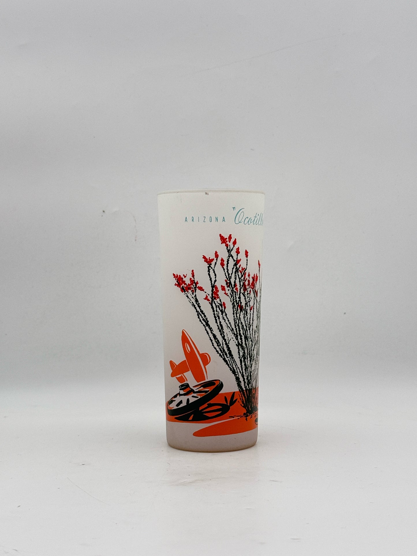 Vintage MCM Arizona Cactus Highball Glasses- Set Of 8