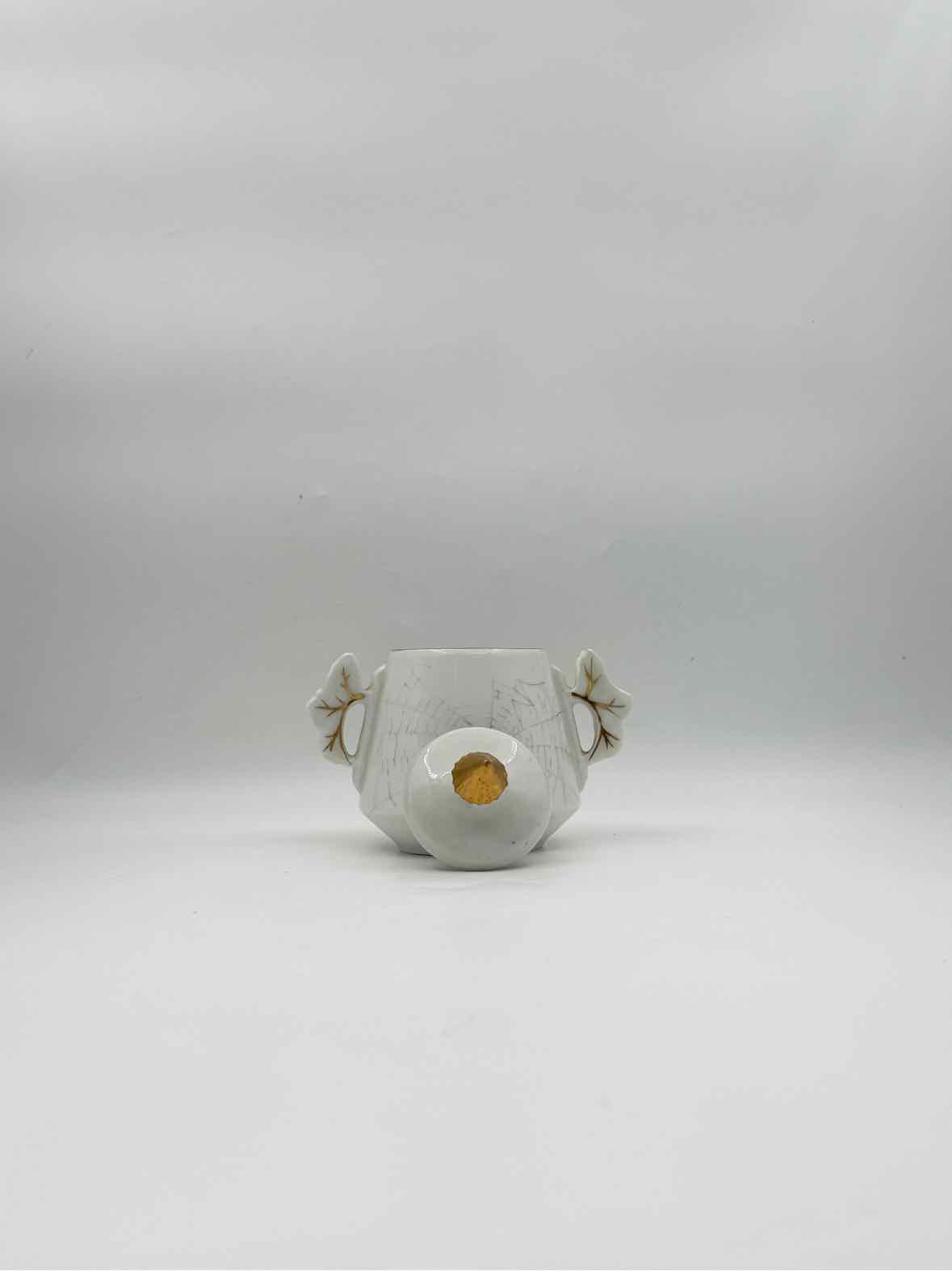 19th Century Charles Field Haviland Teapot And Sugar w/2 cookie plates
