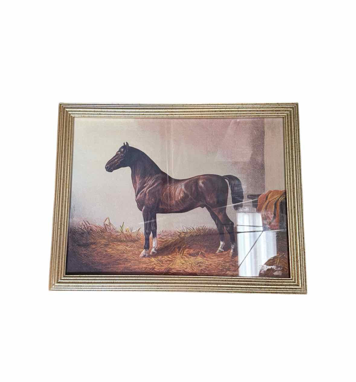 Framed Equine Horse Print Classic Stable Portrait Rustic Farmhouse Art