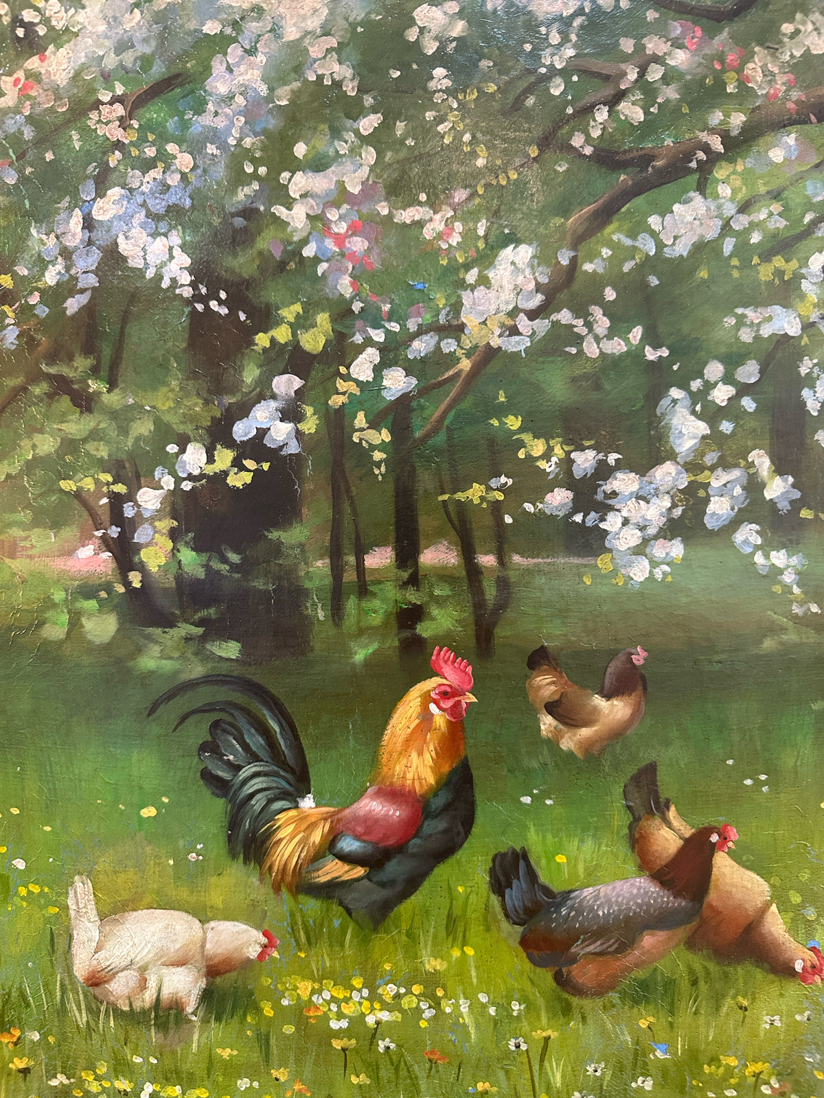 Chickens