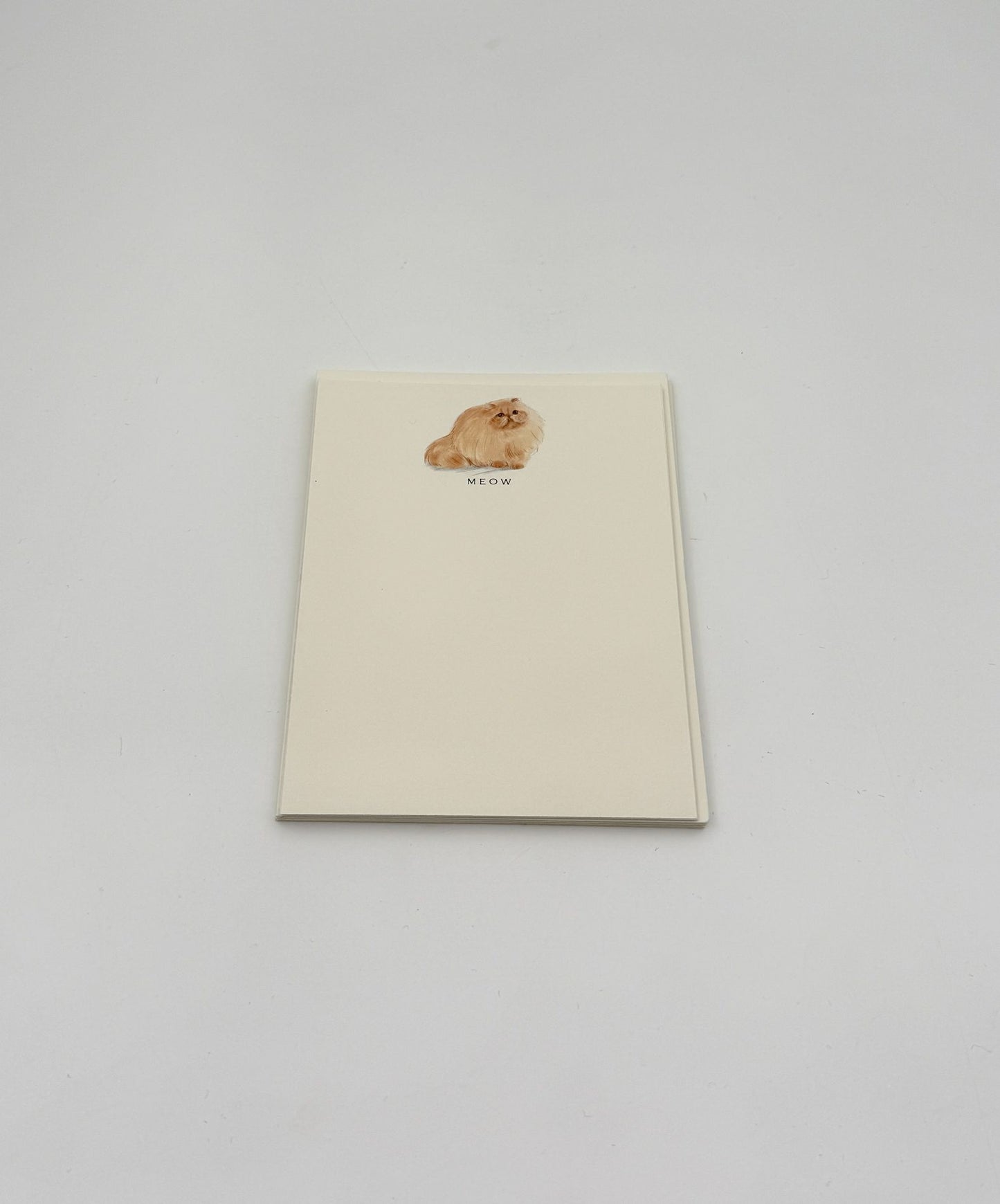 Cat Notecards – “MEOW”  Fluffy Orange Cat – Set of 6 by Fable & Sage