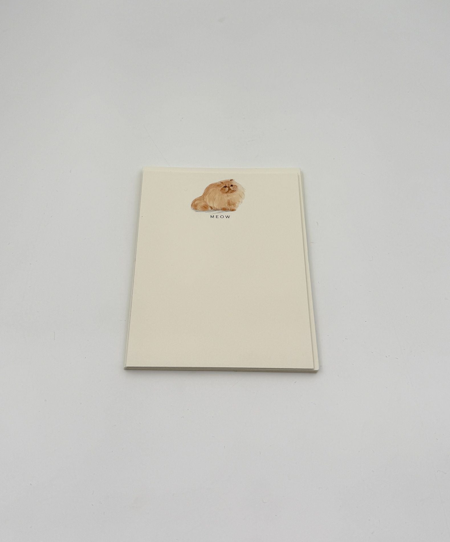 Cat Notecards – “MEOW”  Fluffy Orange Cat – Set of 6 by Fable & Sage