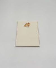 Cat Notecards – “MEOW”  Fluffy Orange Cat – Set of 6 by Fable & Sage