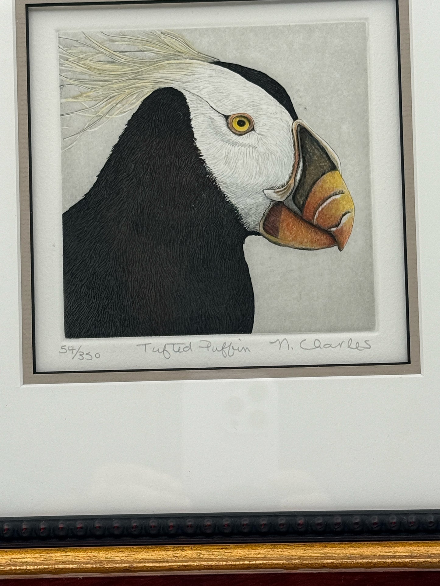 Nancy Charles Framed Pair Of Puffin Bird Etchings