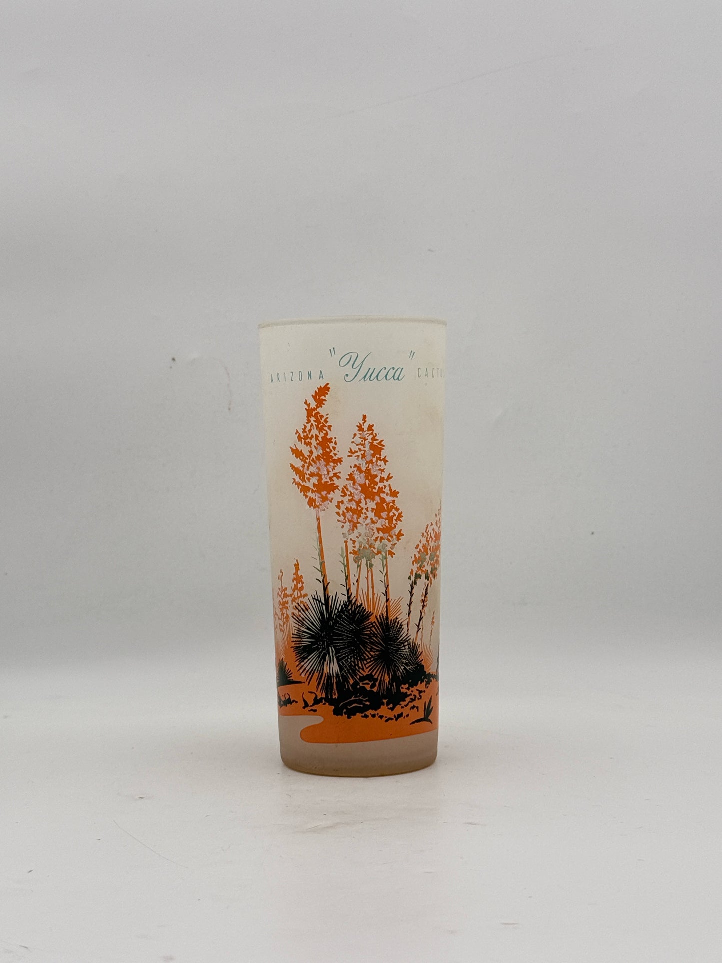 Vintage MCM Arizona Cactus Highball Glasses- Set Of 8