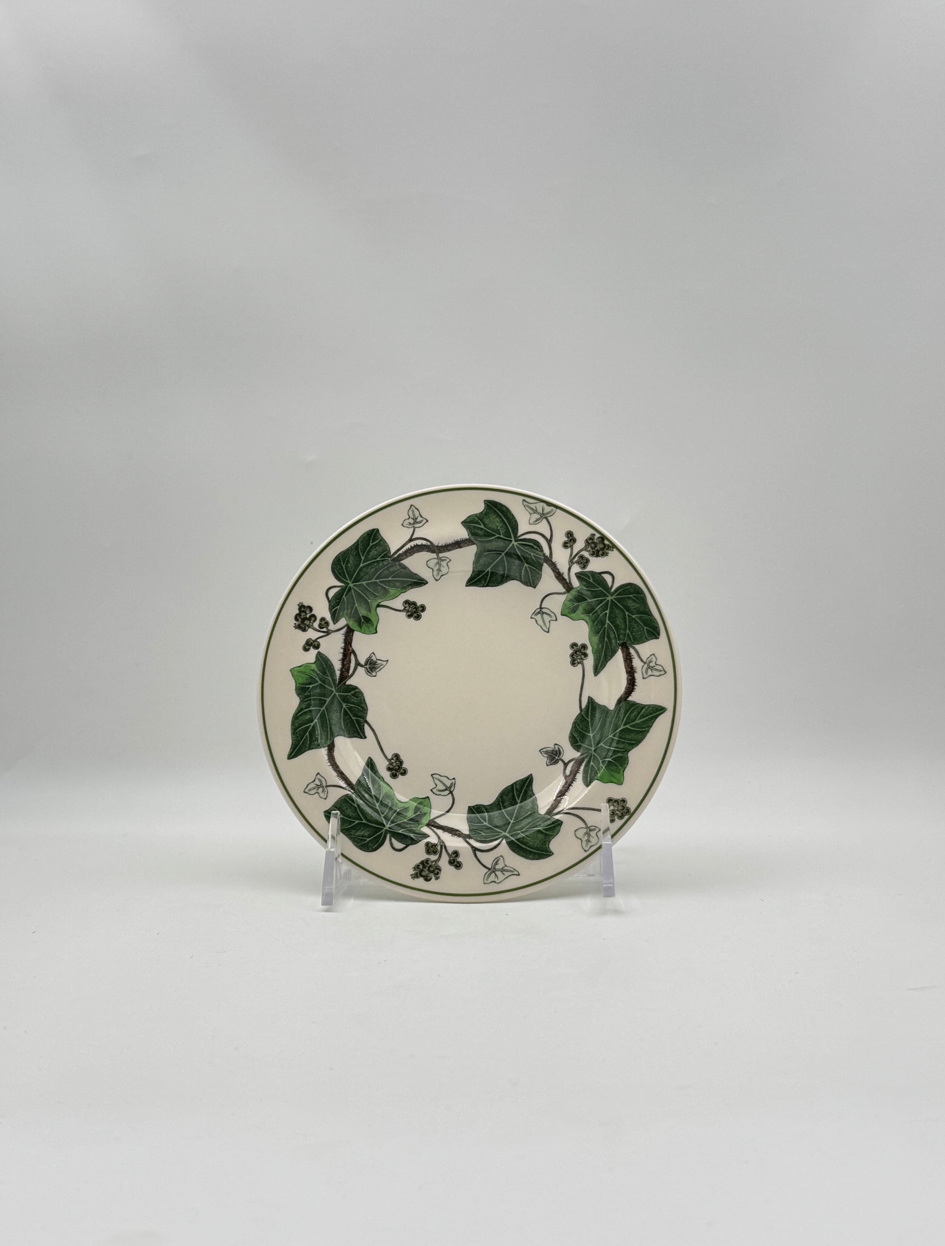 Wedgwood “Napoleon Ivy” Dinnerware Set – 16 Pieces, England