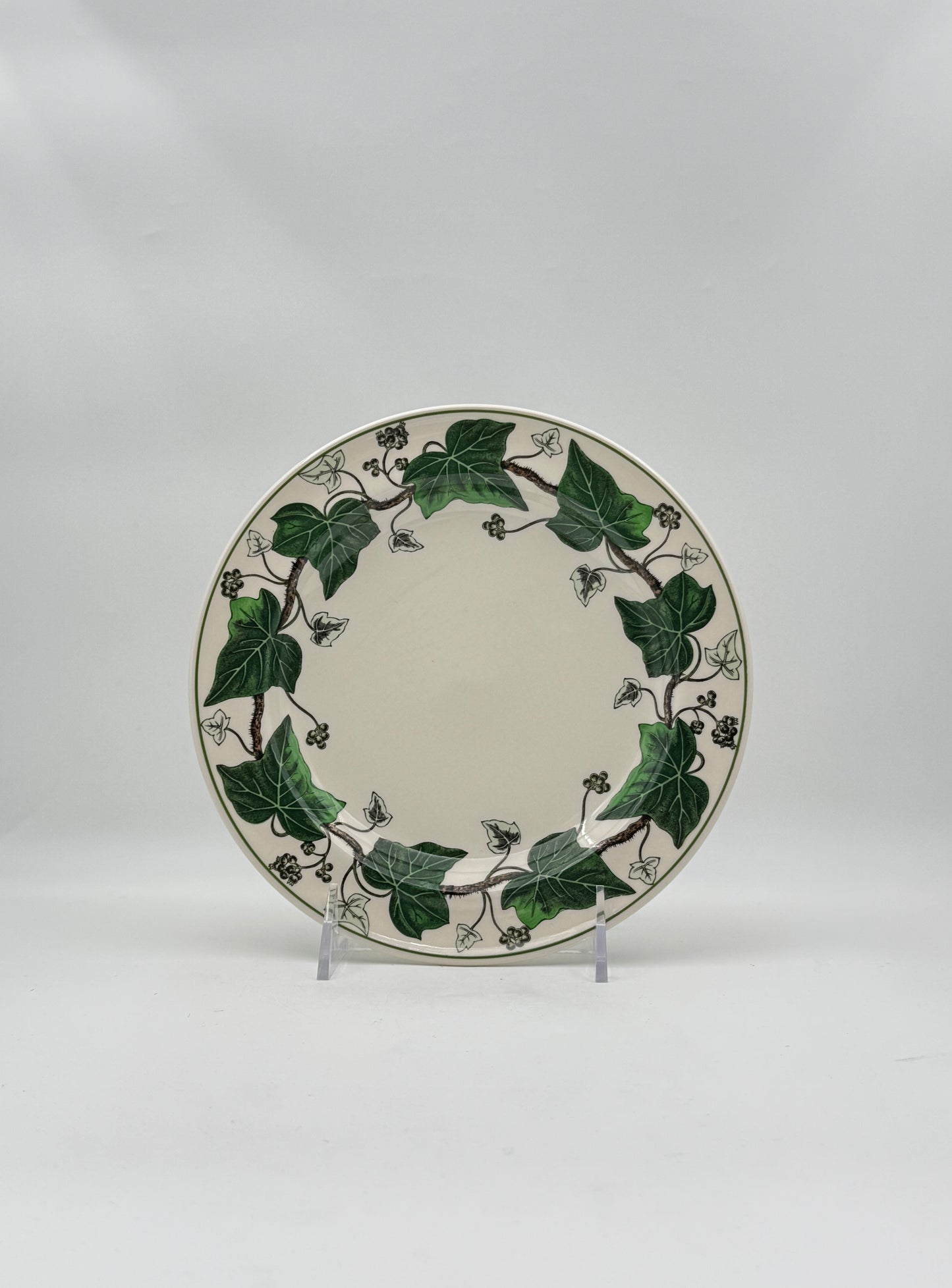 Wedgwood “Napoleon Ivy” Dinnerware Set – 16 Pieces, England