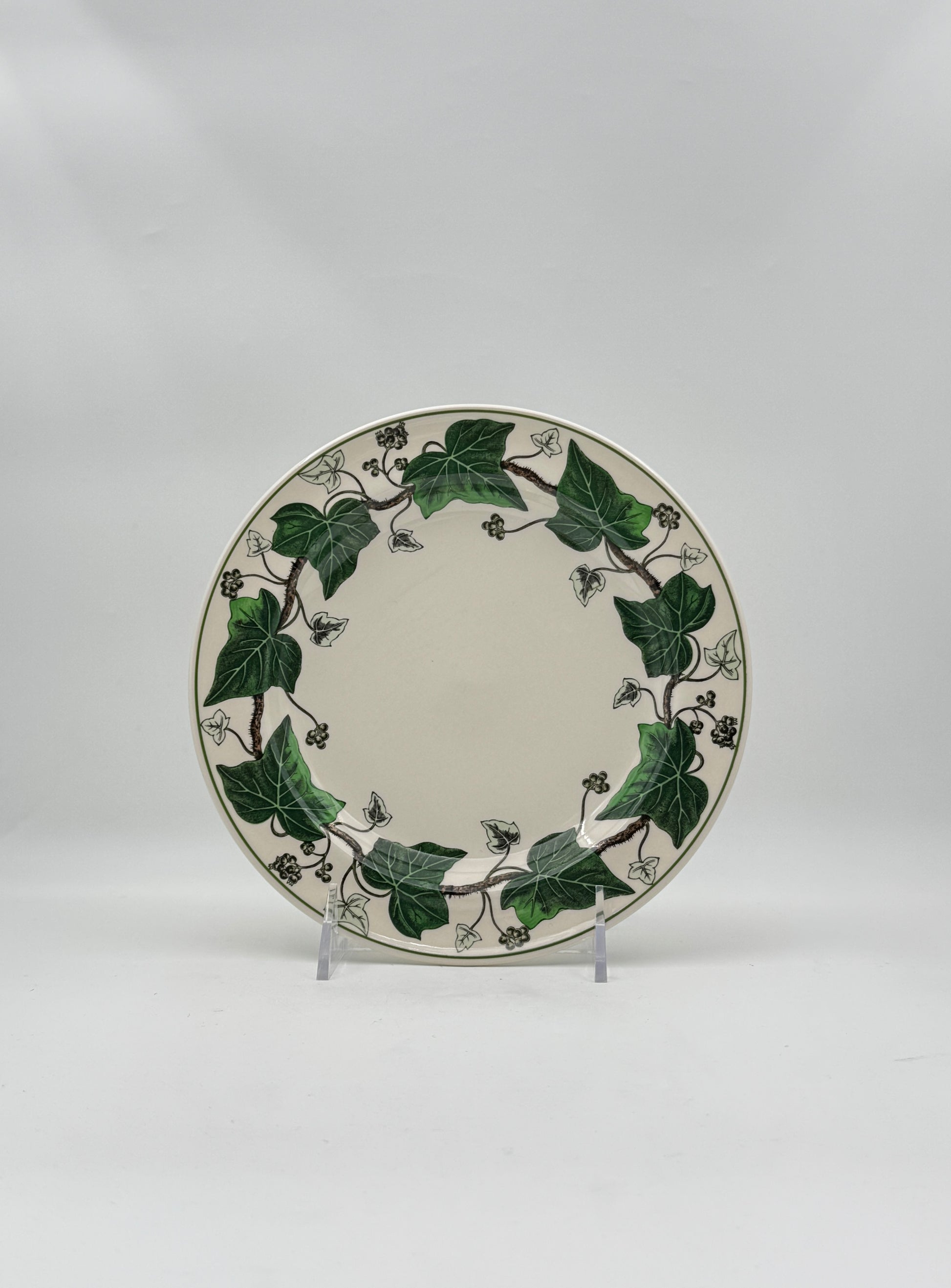 Wedgwood “Napoleon Ivy” Dinnerware Set – 16 Pieces, England