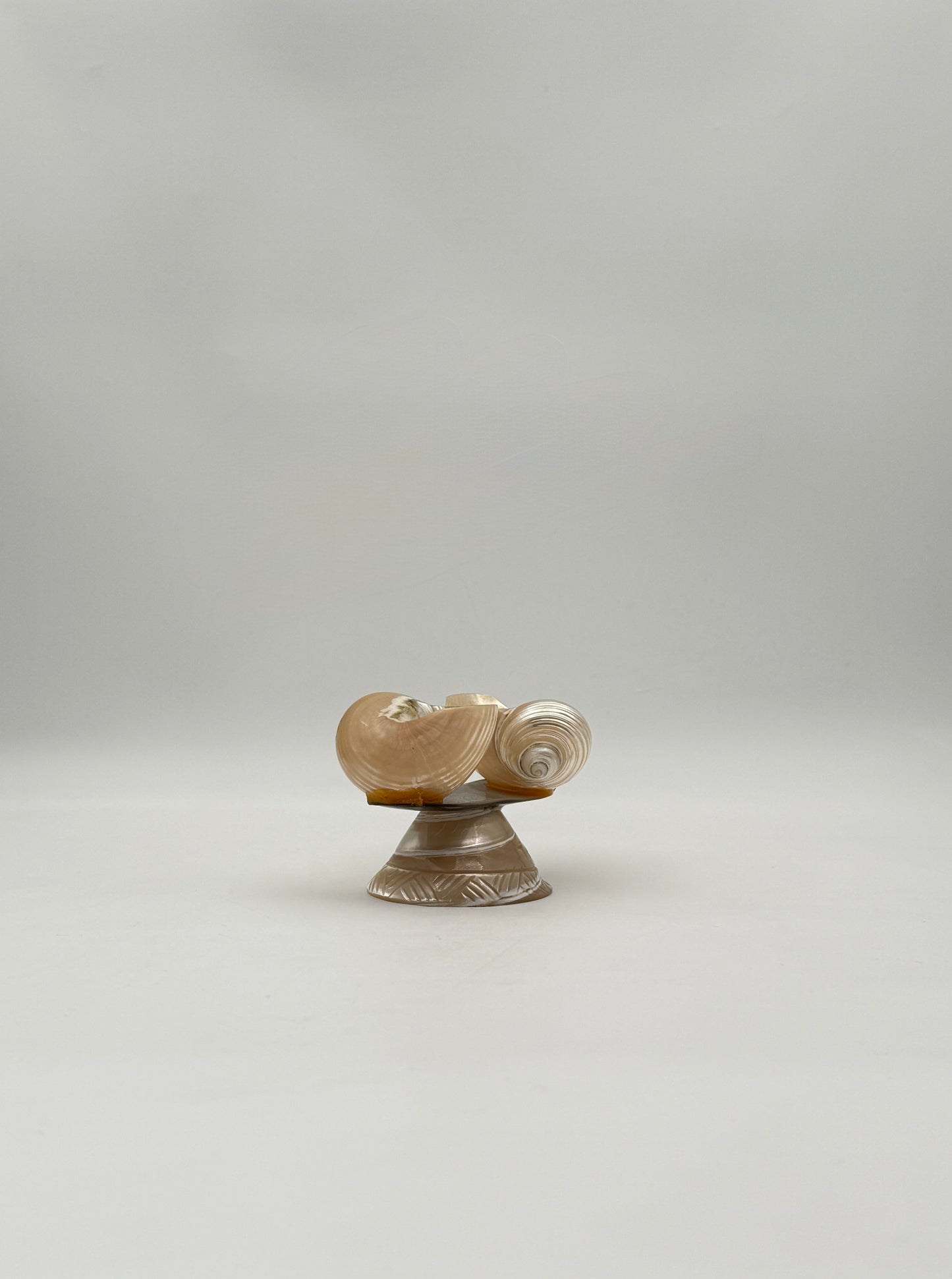 Polished Shell Salt & Pepper Set on Pedestal with Spoon